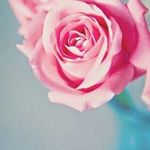 Holly Coates - @hollybaby.hc - Instagram