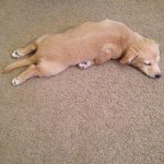 HOLLY & COLBY HARDCORE FANFIC - @mikeysbooo - Instagram