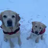 Holly&Colby - @hollycolbyjack - TikTok