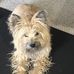 Holly Collison - Facebook