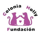 fundación Colonia Holly - @colonia_holly - Instagram