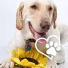 Holly Colon - @hollycolon - TikTok