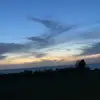 holly - @holly.commons - TikTok