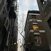 𝒉𝒐𝒍𝒍𝒚 - @hollycommons - TikTok