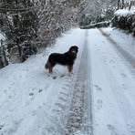 Holly Connor - Facebook