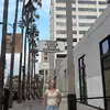 hollyariacorley - @hollyariacorley - TikTok
