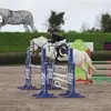 holly - @hollycostelloe1 - TikTok