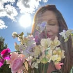 Deb @ Holly Cottage Plants - @hollycottageplants - Instagram