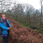 Holly Cottage Danby UK - @holly.cottage.danby - Instagram