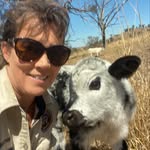 Hollycott Farm - @hollycott_farm_experience - Instagram