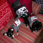 Lucy, Milo & Holly Counts - @thelifeandloveoflucyhollymilo - Instagram