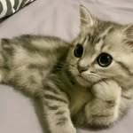 @hol_lycram - Instagram