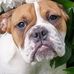 Holly Cramer - Facebook