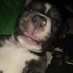 Holly Cramer Shumpert - @shumpert.holly - Instagram