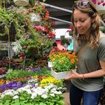 Holly Cronin - @htcronin - Instagram