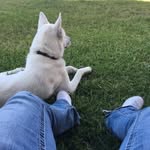 Holly Crow - @hcrow0203 - Instagram