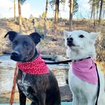 Darrow & Holly - @darrow_and_holly - Instagram
