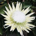Holly Davidson - @hollys_garden_landscapes - Instagram