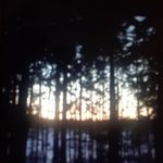 Holly Davidson - @holly.davidson.710 - Instagram