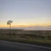 Holly 🙂 - @hollyy.dodd.13 - TikTok