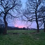 Holly Downing - Facebook