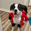 donnellholly598 - @donnellholly598 - TikTok