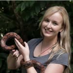 Holly O'Donnell | Wildlife Biologist | Jungle Guide - @hollyodonnell_conservationist - Instagram