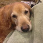 Holly Driver - @hollythegoldyyy - Instagram