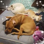 Holly Duran - @holly.duran.589 - Instagram