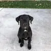 holly_durrant - @holly_durrant - TikTok