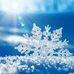 Holly Dvorak - Facebook