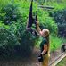 Hollyanne Ebner - Facebook