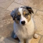 Holly Edington - @hedingtonatx - Instagram