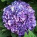Holly Elam - Facebook