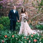 Holly Elder Steinlage - @hae212s - Instagram
