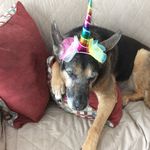 Holly Elmore - @yarngrammie - Instagram