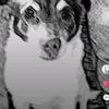elyhollysdoo123 - @hollyely15 - TikTok