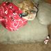 Holly Euler - Facebook