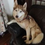 Holly Everson Browder - @holly.browder - Instagram