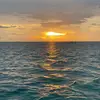 Holly - @holly.fahey - TikTok