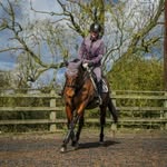 Holly Bond - @holly.fairfield_equine - Instagram