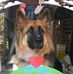 Holly Farrow - Facebook