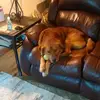 FeatherHolly Chabbott - @featherholly.chab - TikTok