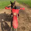 holly…fewster - @hollyfewster12345 - TikTok