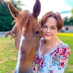 Holly Allen | Wildlife and Landscape Fine Art - @holly_allen_studio - Instagram