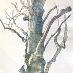 Holly Grosvenor Fine Art - Facebook