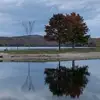 Holly Nutting Fine - @hollynuttingfine - TikTok