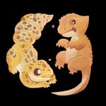 Holly Finney - @alura_reptiles - Instagram