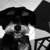 hollyo.flaherty - @hollyo.flaherty - TikTok