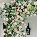 Holly Diana Floral - @hollydianafloral - Instagram